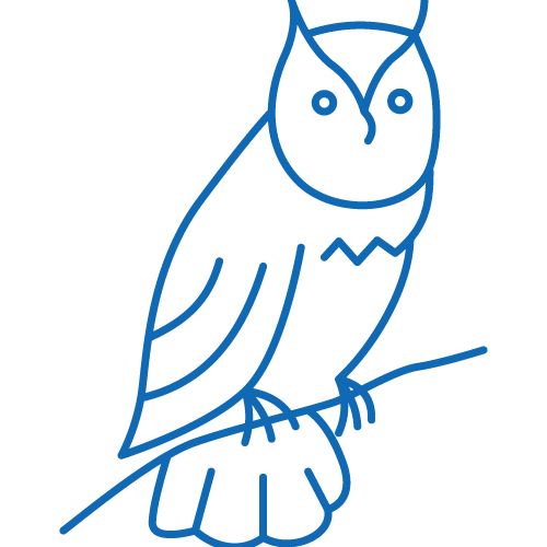 Búho